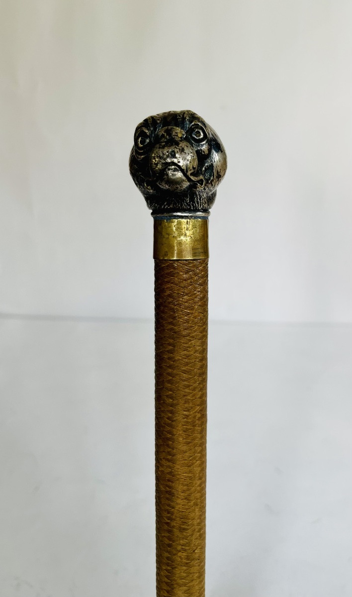 Puzzle Cane -photo-3